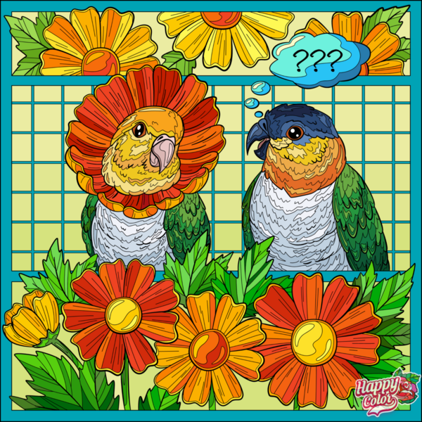 Paula Patti - Happy Color (app) - 2023-01-02