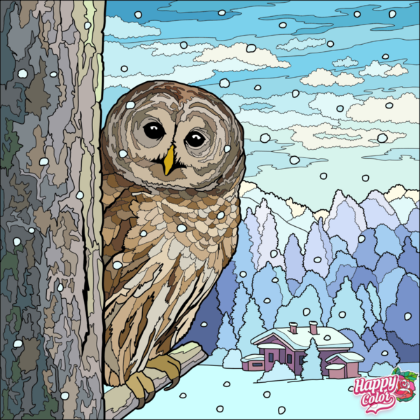 Paula Patti - Happy Color (app) - 2023-12-13