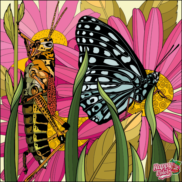 Paula Patti - Happy Color (app) - 2024-11-29